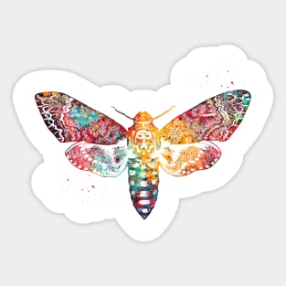 Moth Sticker